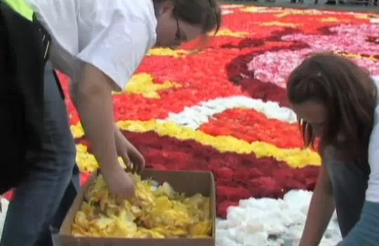 Dobrovolníkům, převážně ze střední zahradnické školy, stačily pouhé čtyři hodiny k vytvoření květinové tapisérie. (NTD Television) 